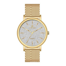 Glitter Dial For Men's Quartz Wrist Watch